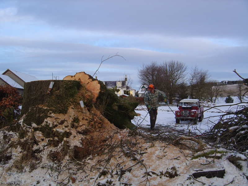 4th January 2010 024